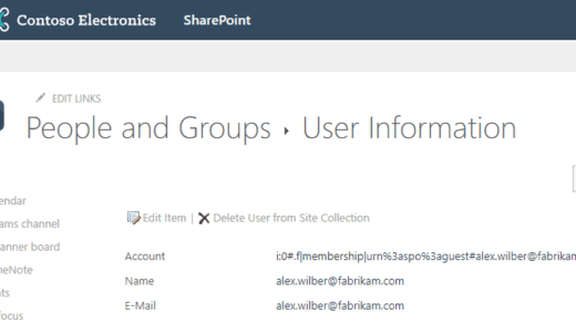 SharePoint-only guest in the User Information List